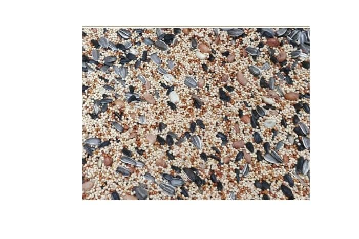 Wild Bird Premium Seed (5 lb)