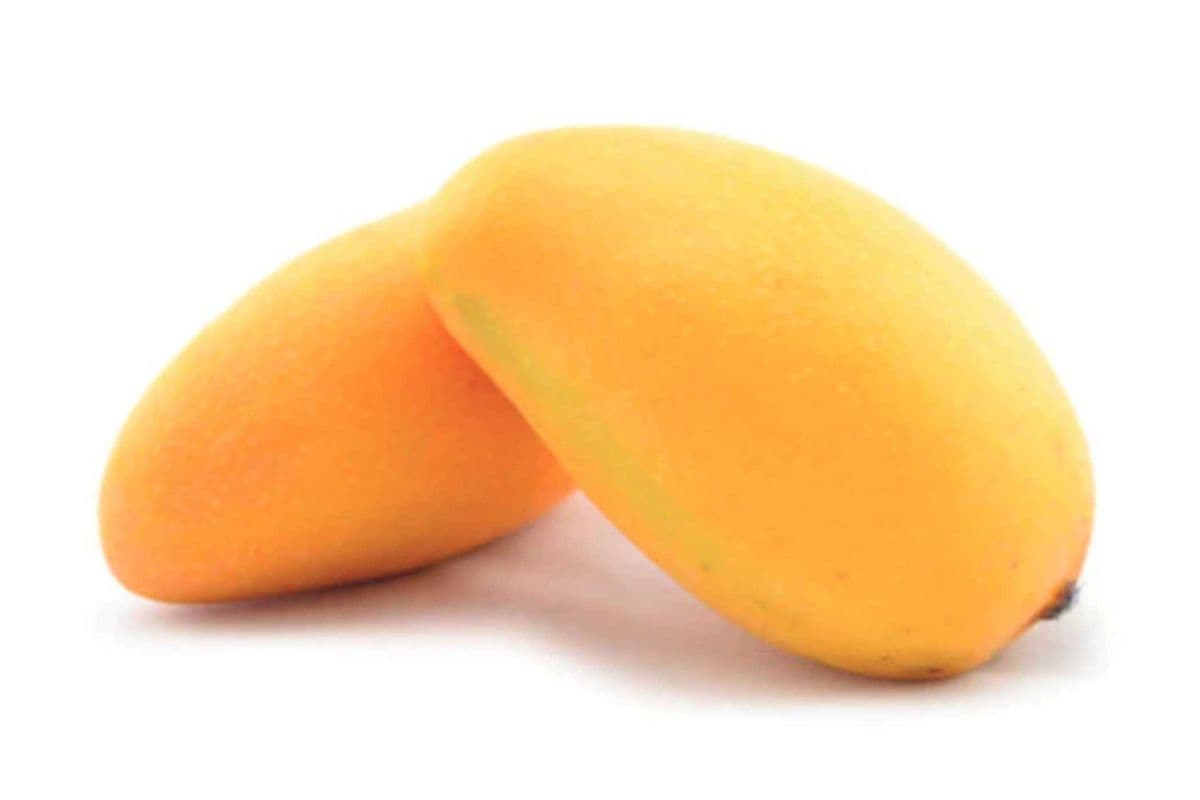 Mangue Francis