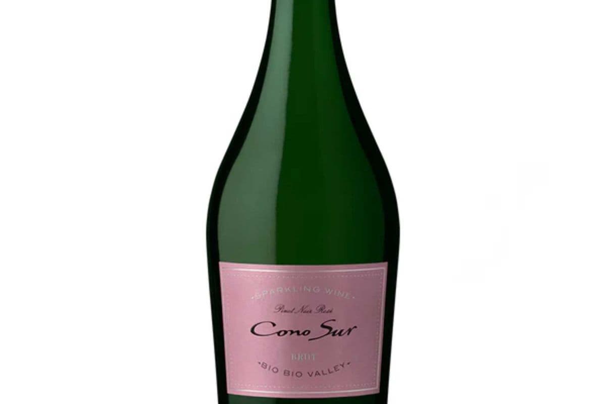 Cono Sur Brut Rose (1 x 750 ml)