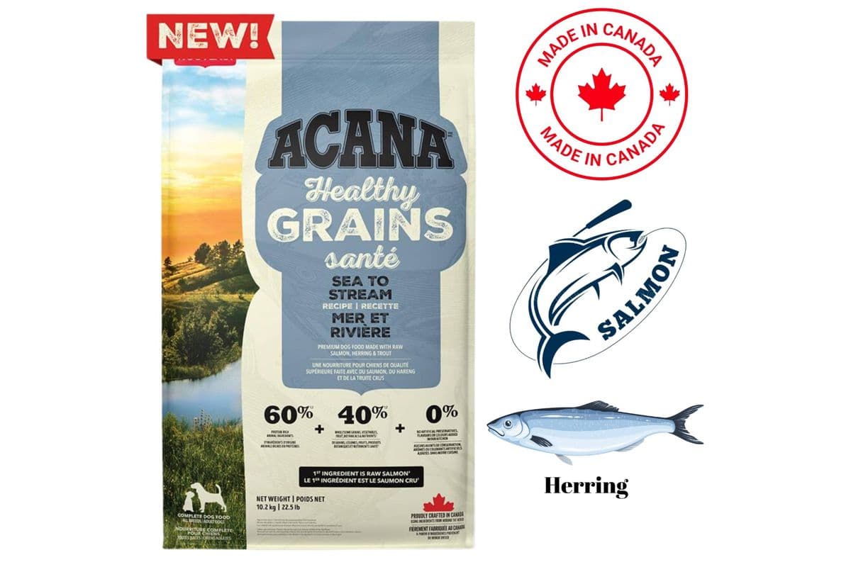 Acana - Healthy Grains Sea To Stream Dry Dog Food (4 lbs)