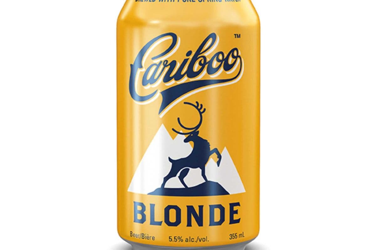 CARIBOO BLONDE 6PACK (1 x 6X355ML)