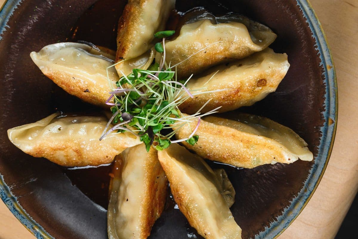 Vegetarian Dumplings