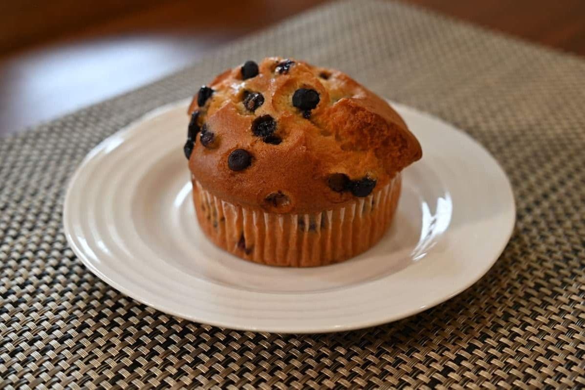 Blueberry Muffin