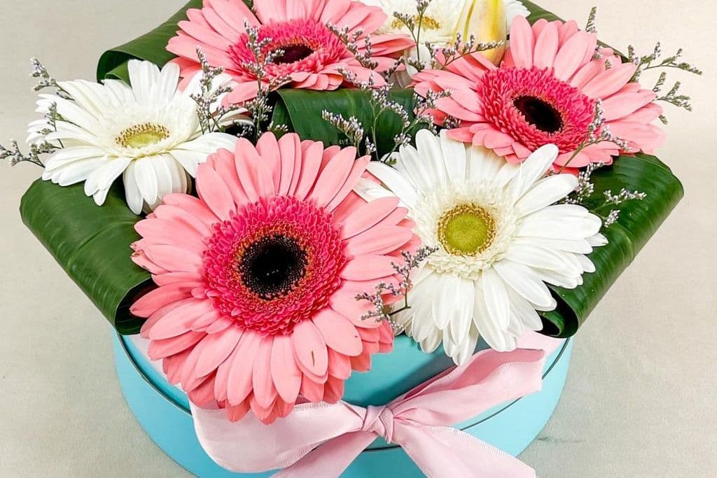 Signature Collection Pulling Daisies