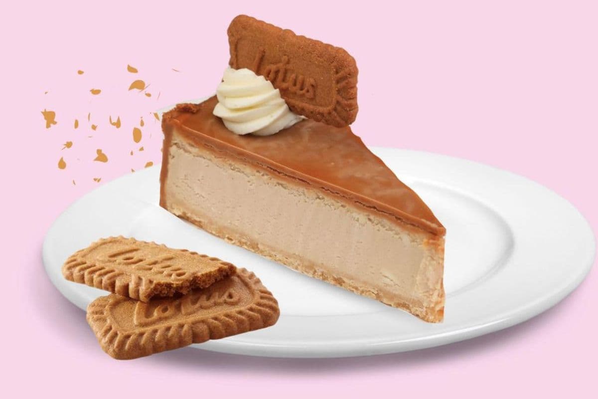 Biscoff Cheesecake Slice