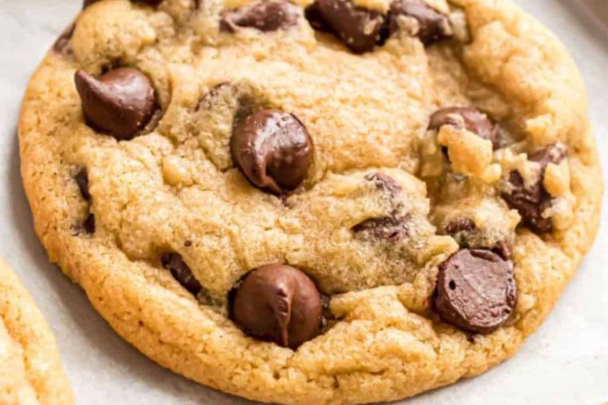 Chocolate chip Cookie