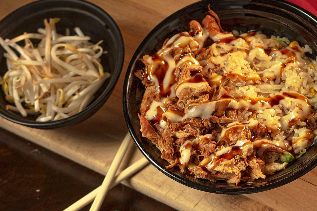 Fried Rice with Braised Chicken Combo