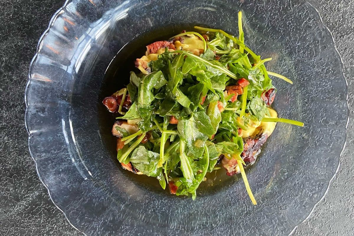 Grilled Octopus