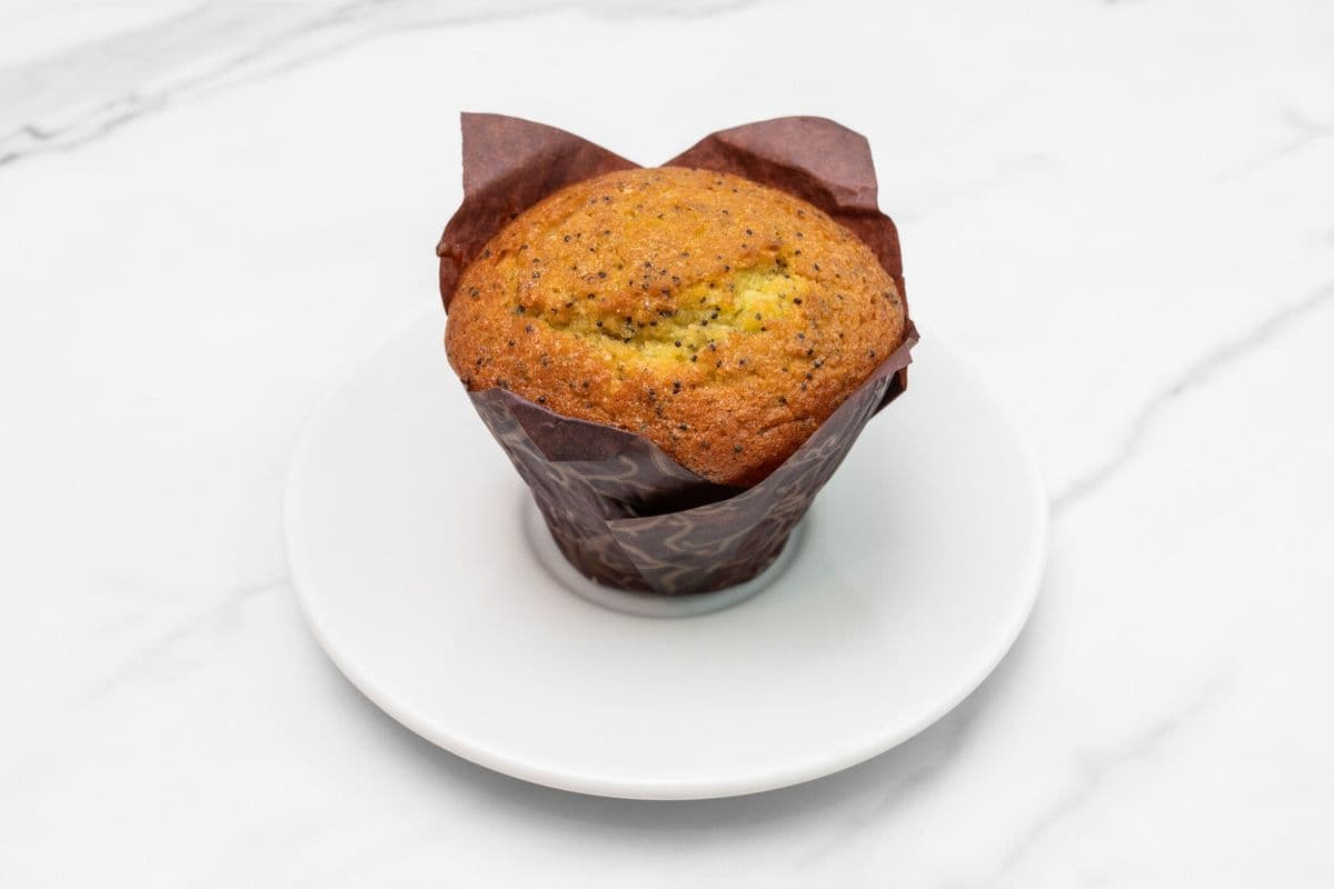 Lemon Poppy Seed Muffin
