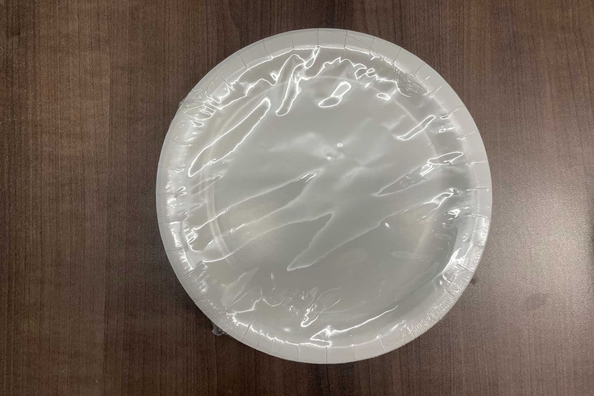 8 Bright White 9" Plates (8 Pack)