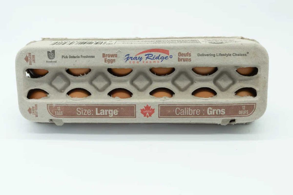 Gray Ridge Large Egg Brown (12 Eggs)