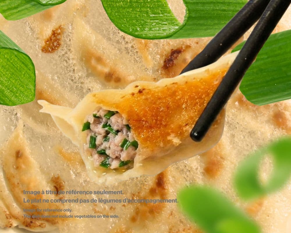 22.Pork & Chive Dumpling / Porc & ciboulette Gyoza