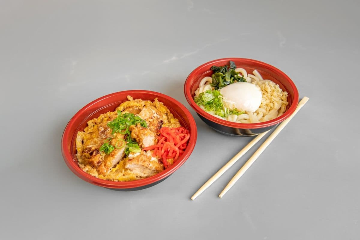 Chicken Don and Udon