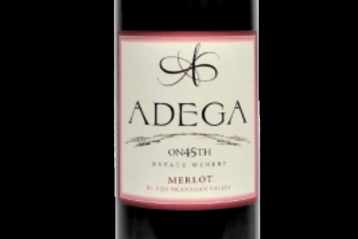 Adega Merlot (1 x 750ml)