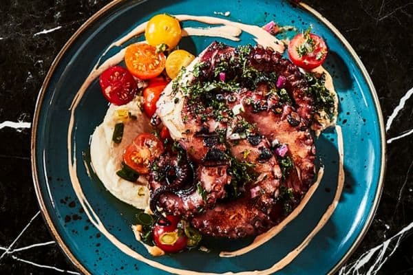 Grilled Octopus