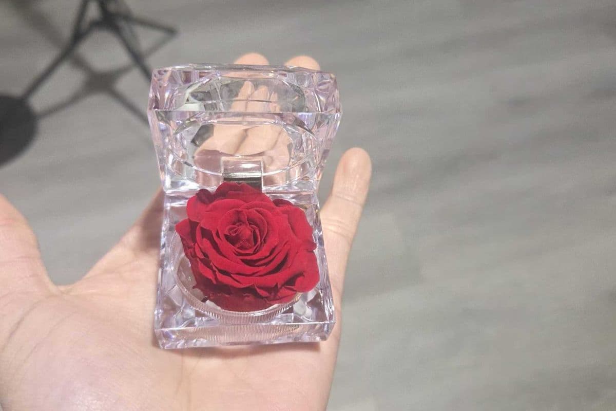 Tiny Jewel Box Preserved Rose – Red