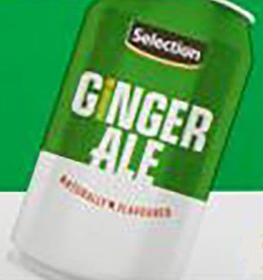 Ginger Ale Soda (355 ml)
