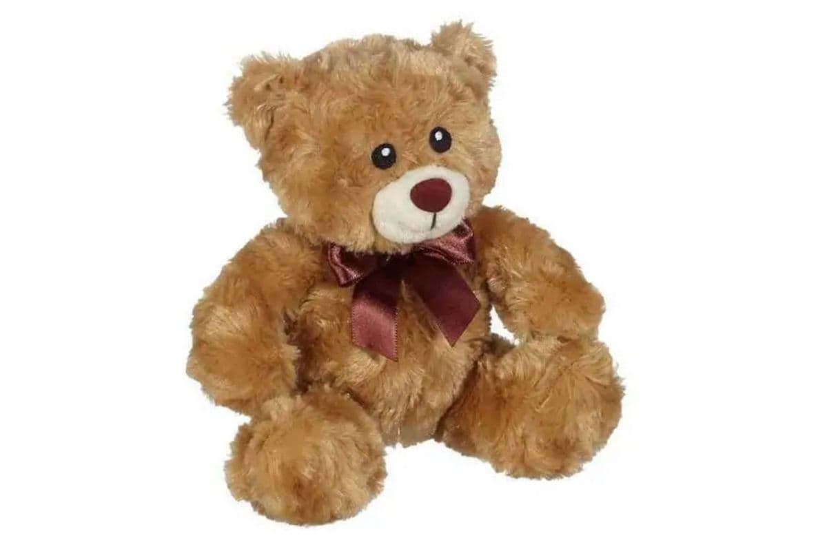Teddy Bear