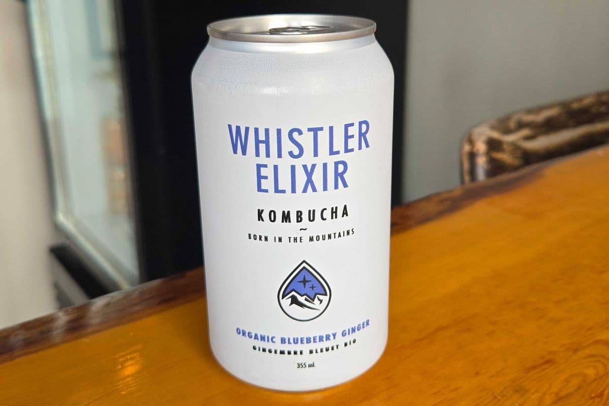 Whistler Elixir Blueberry Ginger Kombucha (355ml)