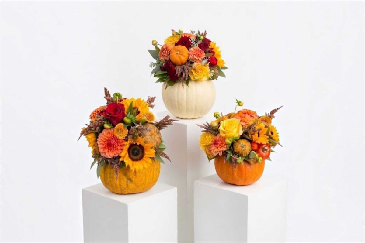 Designer’s Choice Thanksgiving Pumpkin Centrepiece