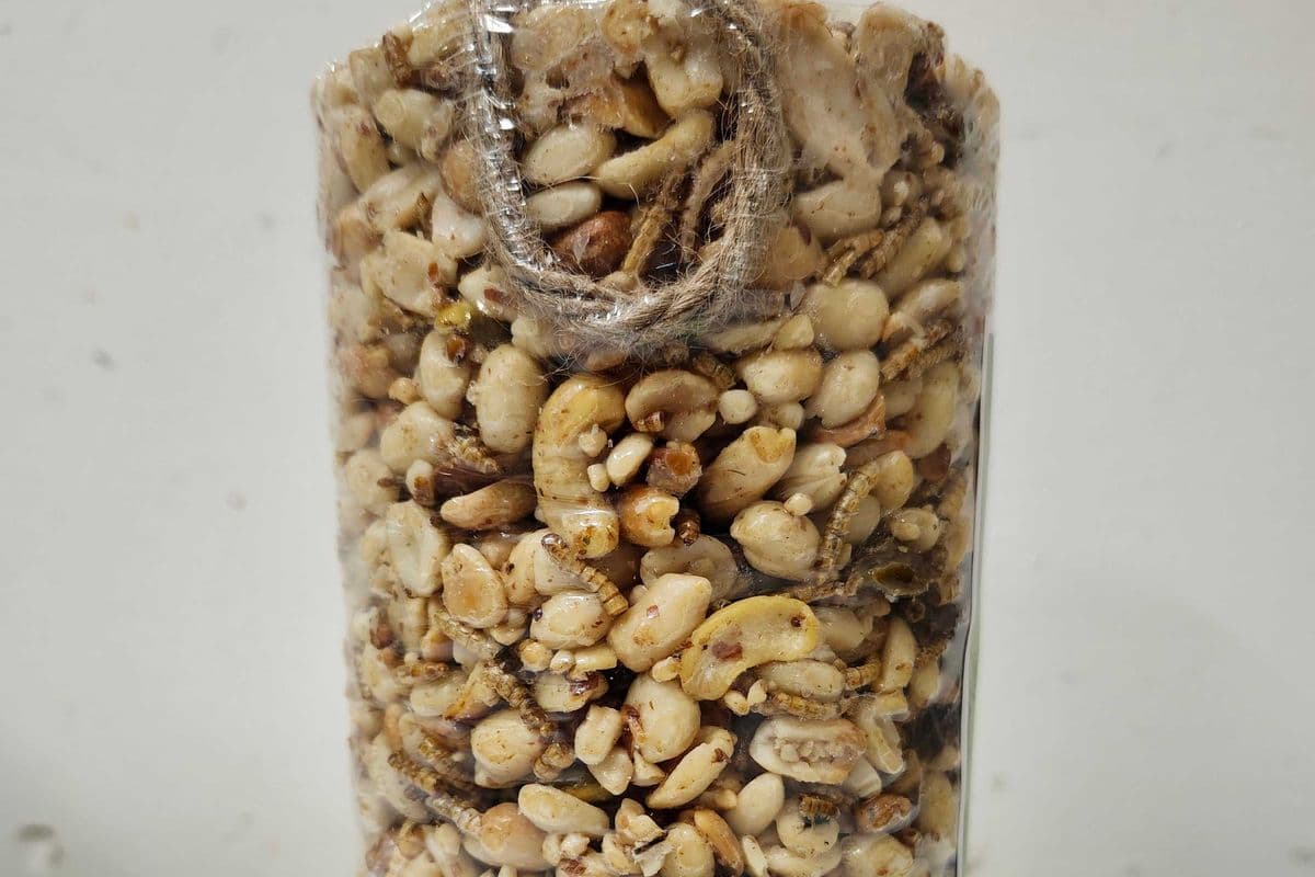 No Mess Banquet Seed Log (775 gr)