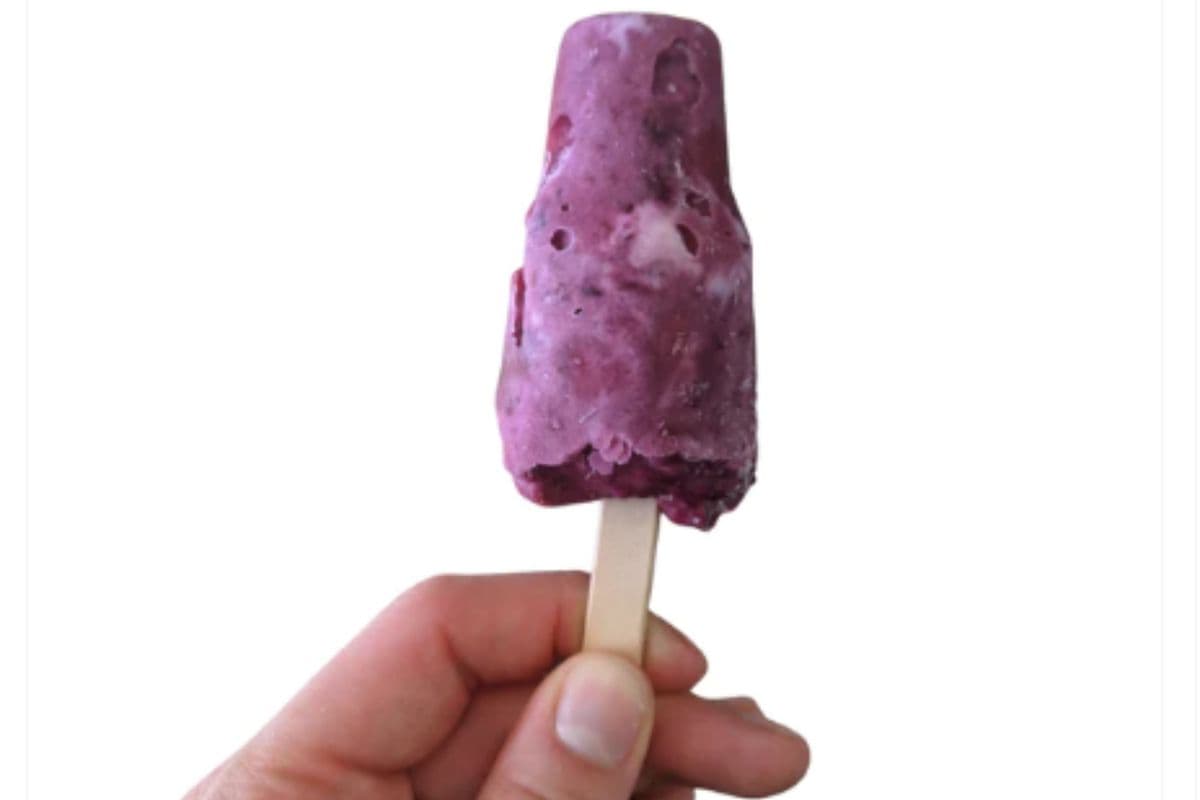 PUPsicle: Yogurt Parfait