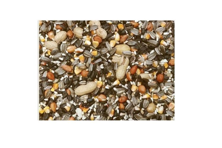 Blue Jay Seed Mix (10 lb)