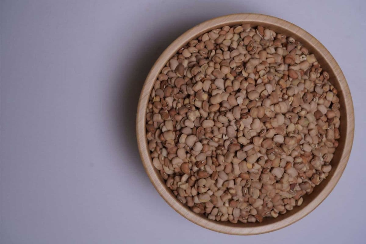 Honey Beans (8 lbs)