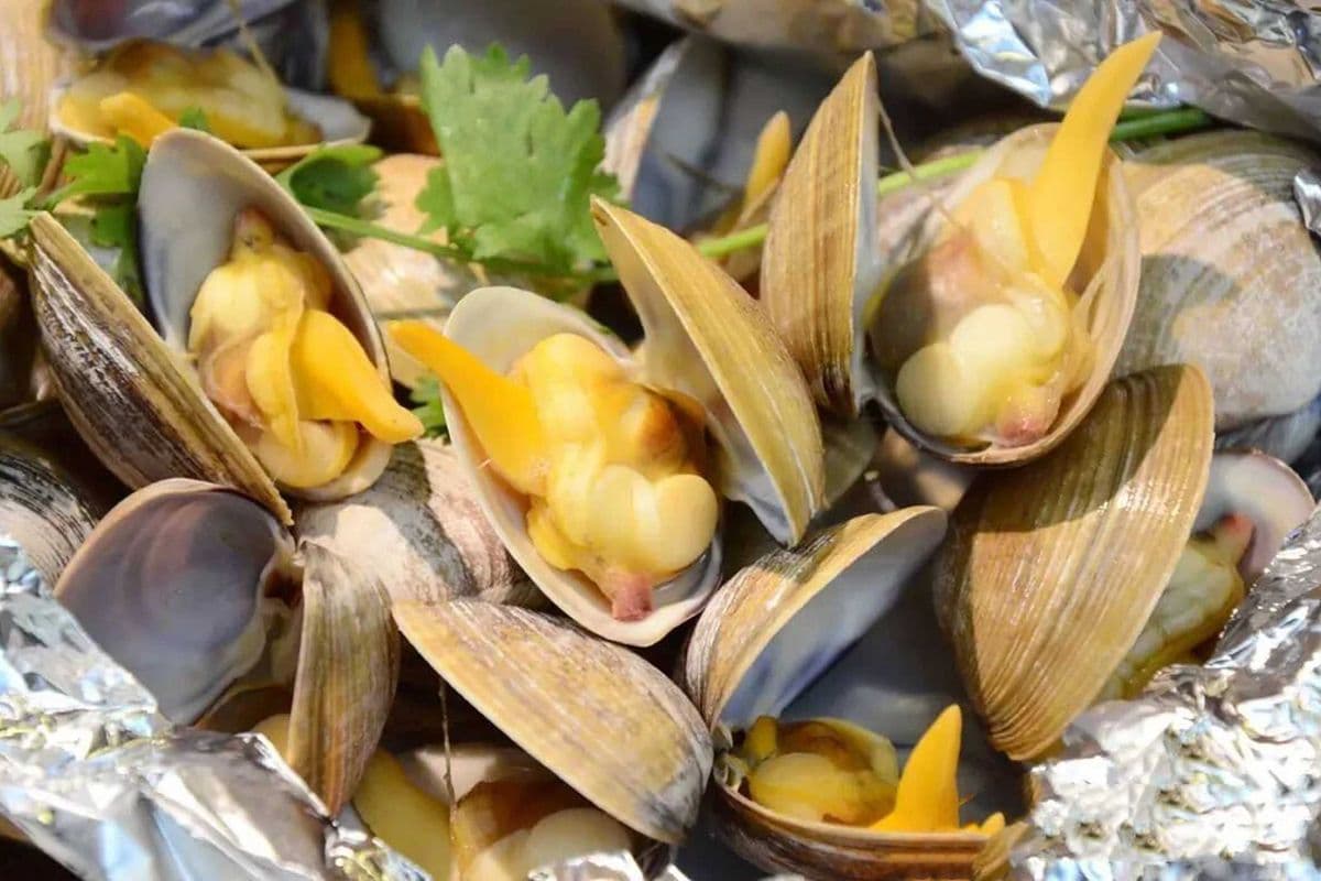 Spicy Tinfoil Fresh Clam 锡纸蜆子