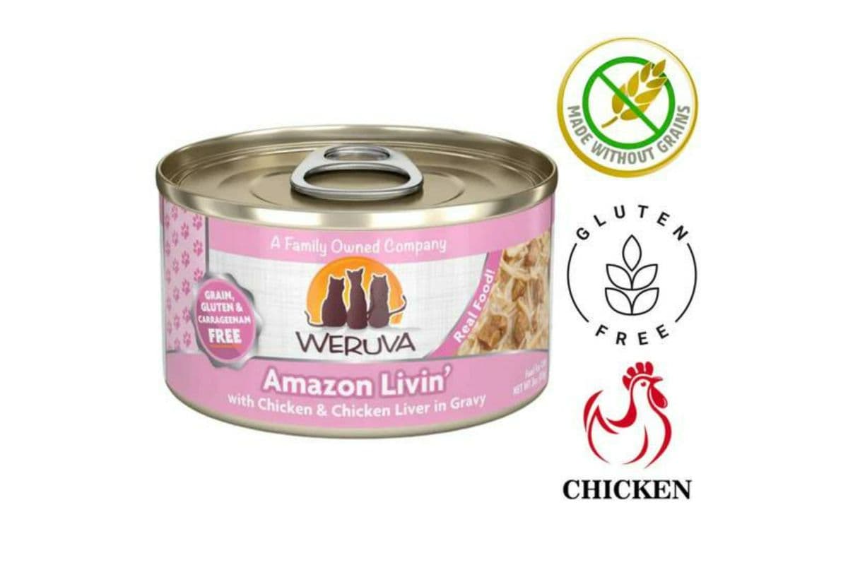 Weruva Amazon Livin' Canned Cat Food (3 oz)