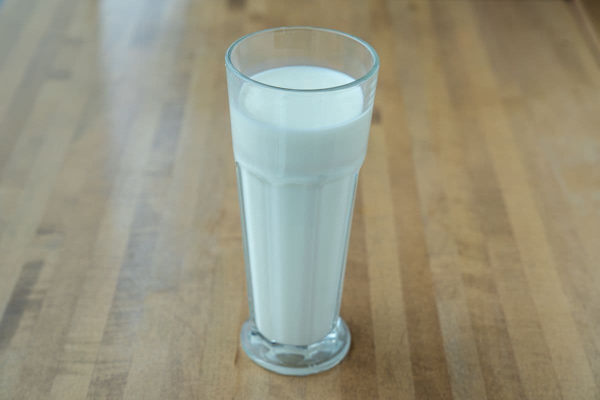 Lait nature / Plain Milk