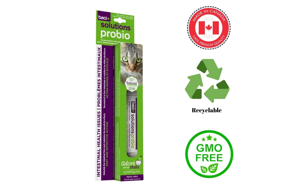 Baci+Solutions Probio Intestinal Health Paste for Cats (15 g)