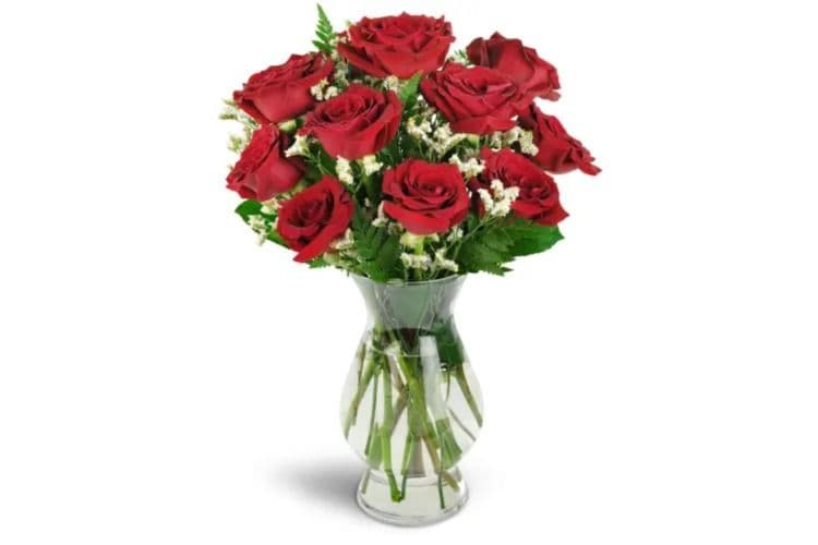 Devoted to You™ Red Roses Deluxe