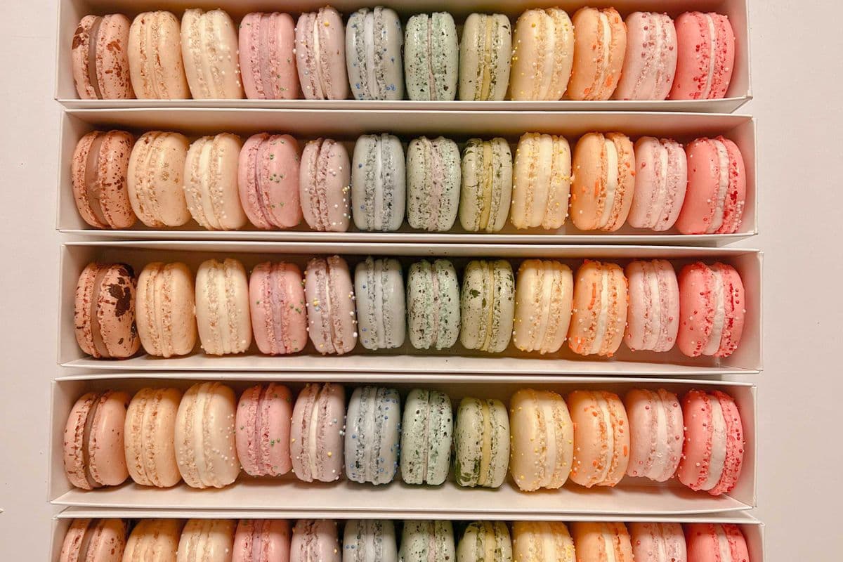 Assorted Macarons (Gift Box of 11)