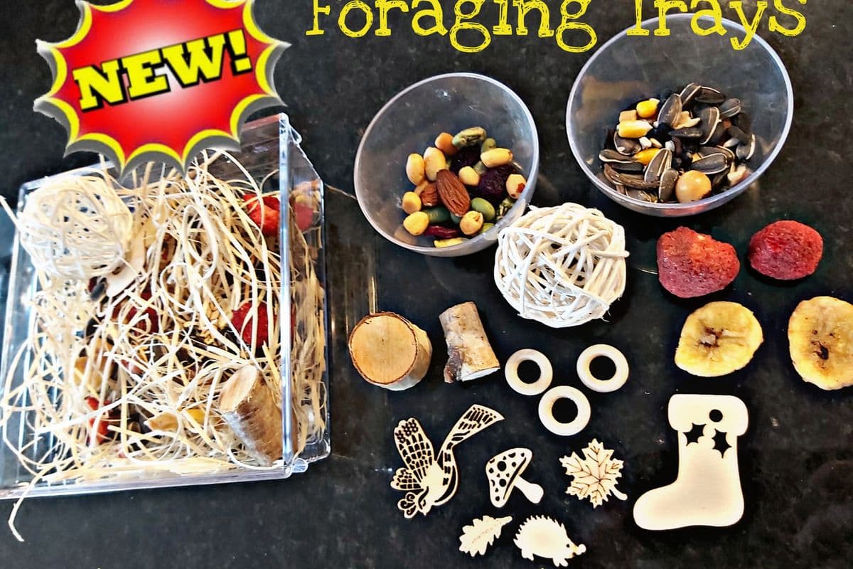 Foraging Tray for Small Birds (200g)