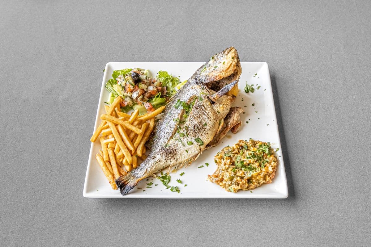 Poisson loup de mer de la Tunisie