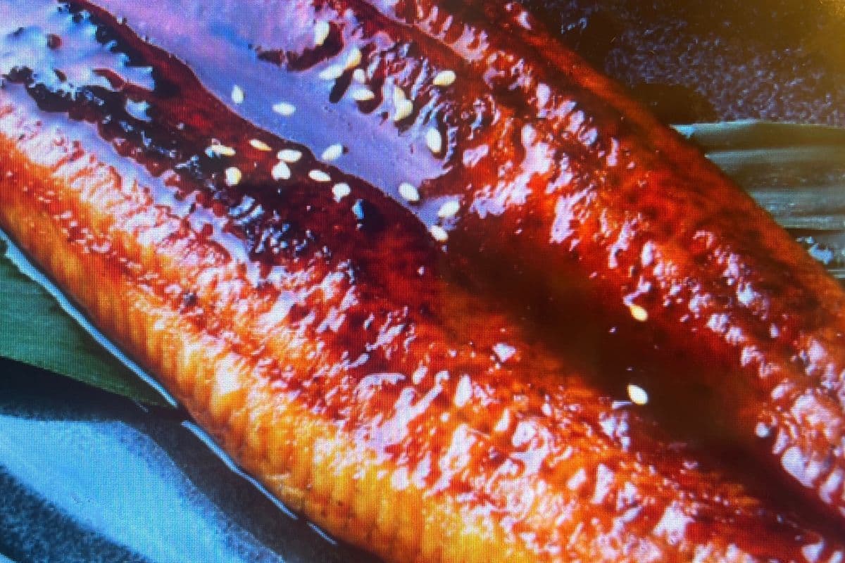 BBQ EEL (鳗鱼)
