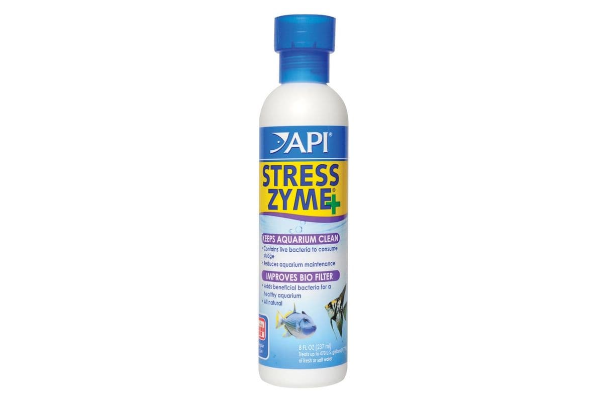 API Stress Zyme+ (8 fl oz)
