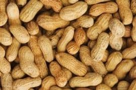 Peanuts, In-Shell (15 lb)