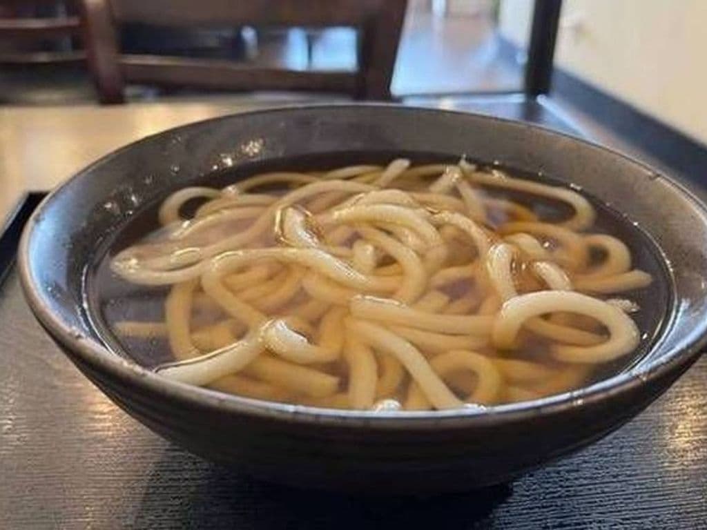 Plain Udon