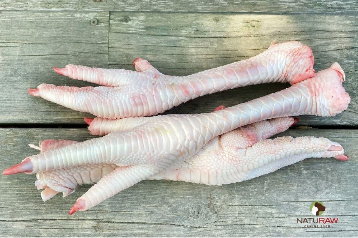 Turkey Feet (Approx 2 lb)