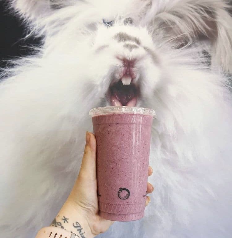 Hibiscus Raspberry Smoothie