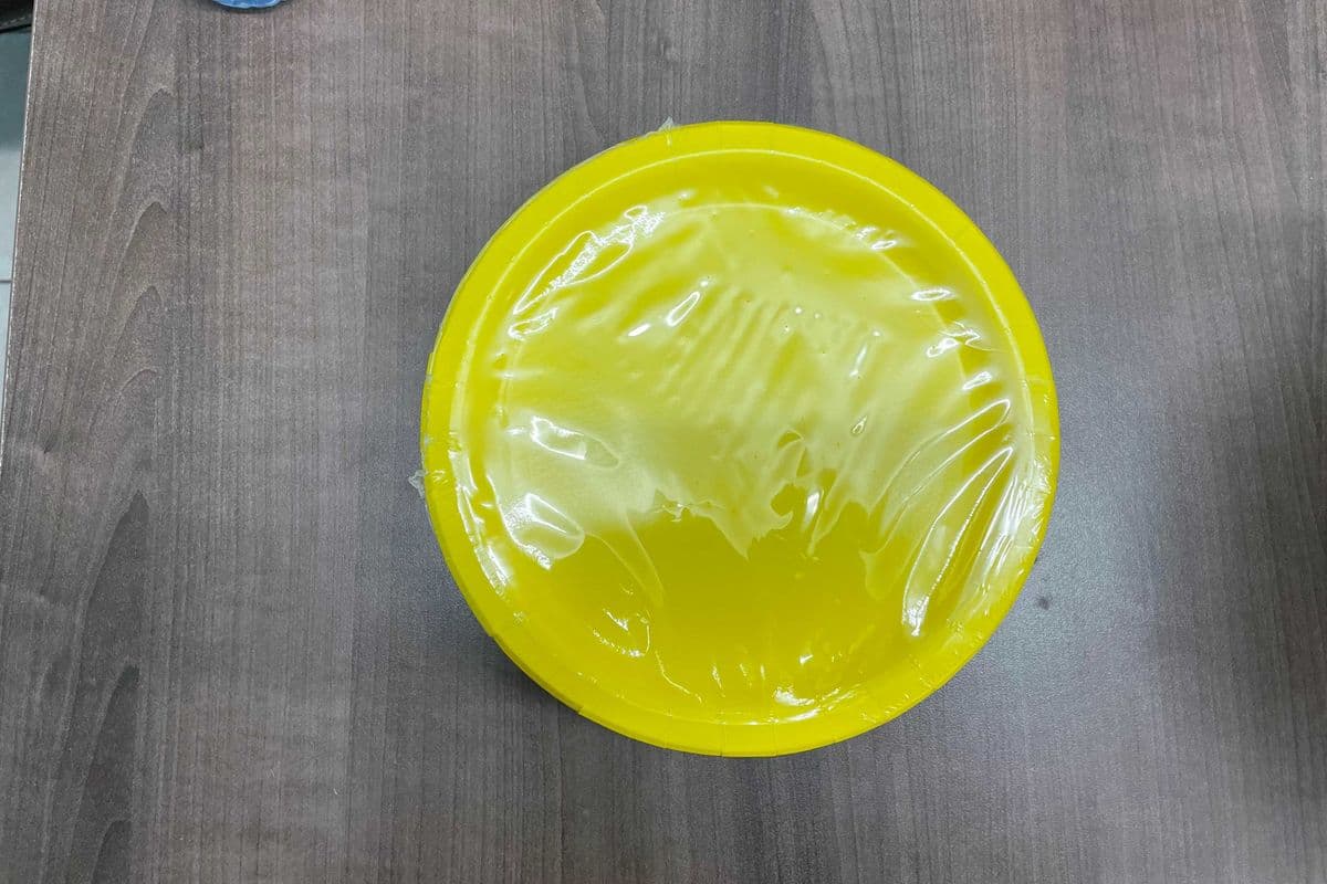 8 Plates Neon Yellow 9"
