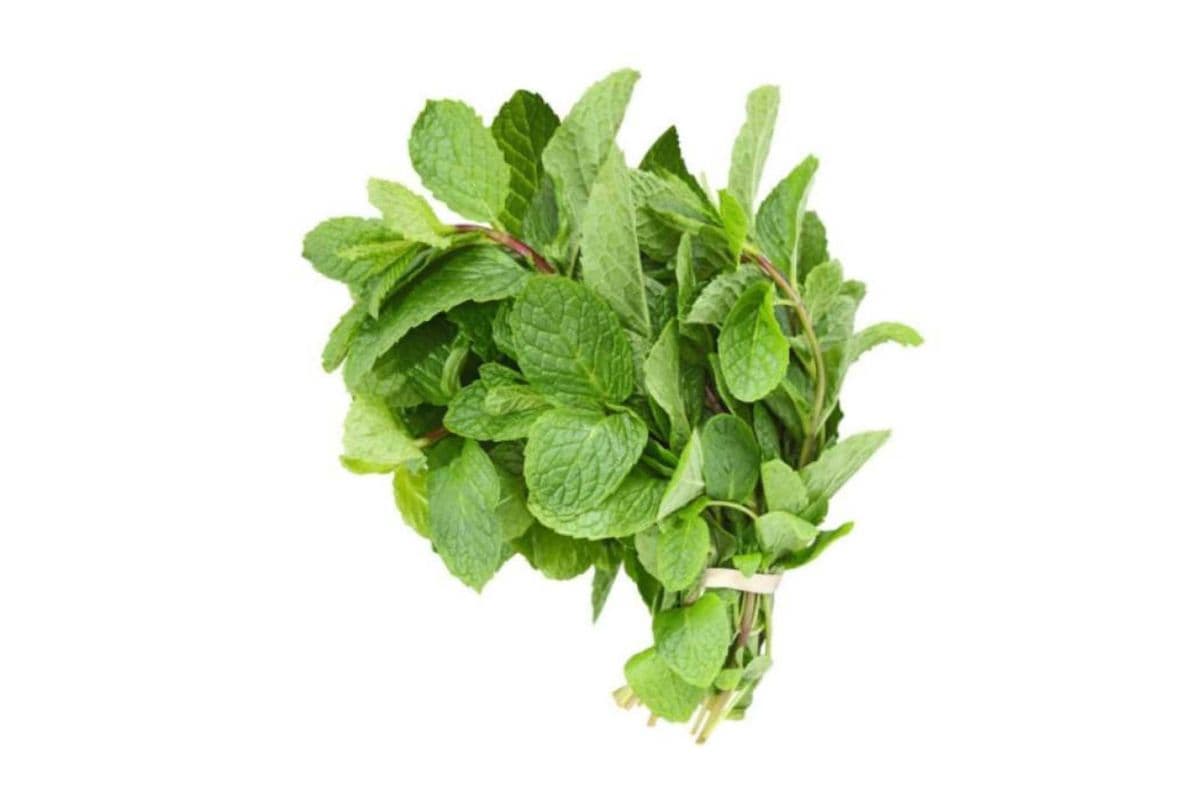 Scent Leaf (Frozen)