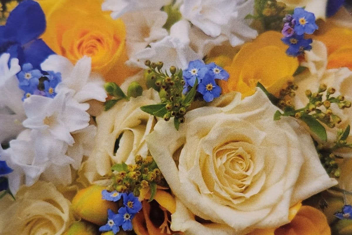 All Occasion Large Greeting Card