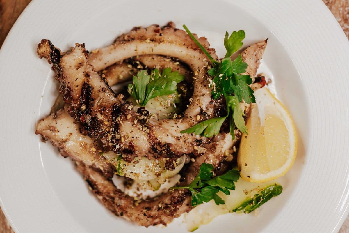 Grilled Octopus
