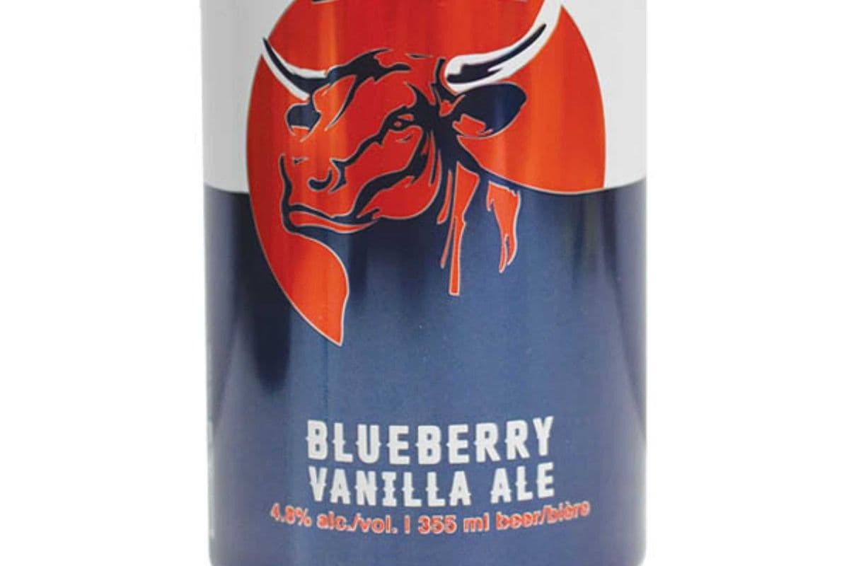 BABE BLUEBERRY VANILLA ALE (1 x 6x355mL)