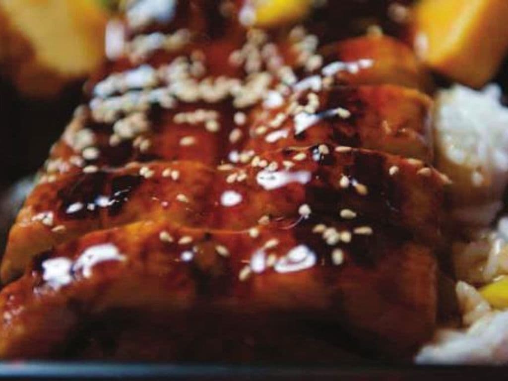 Unagi Don