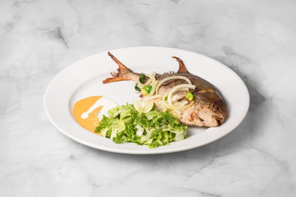 Tilapia