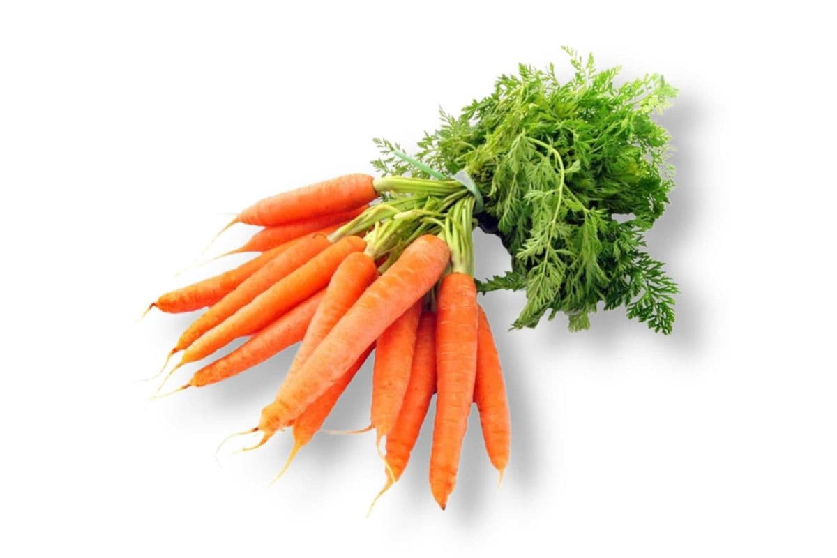 Bunched Carrots
